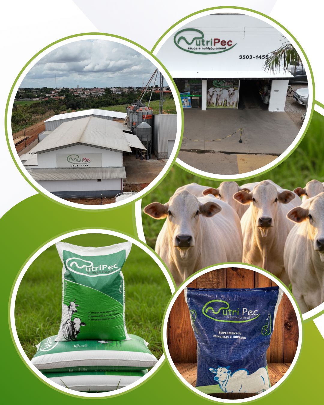 Imagens da fabrica NutriPec